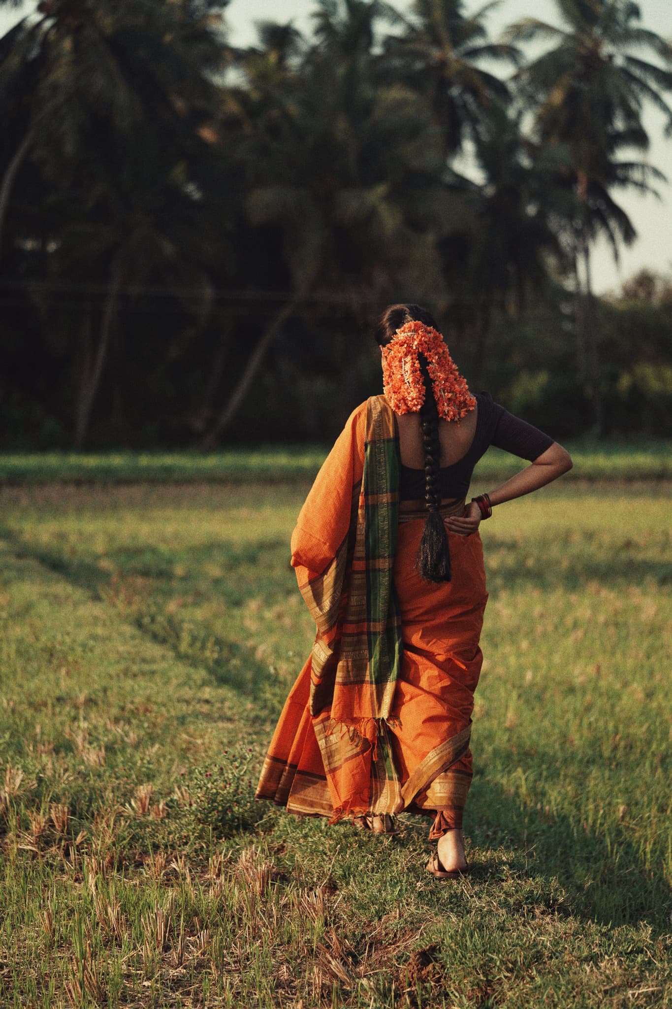 Seen from behind, a woman crosses a green field, the woven green-and-gold pallu of her saree falling down her back